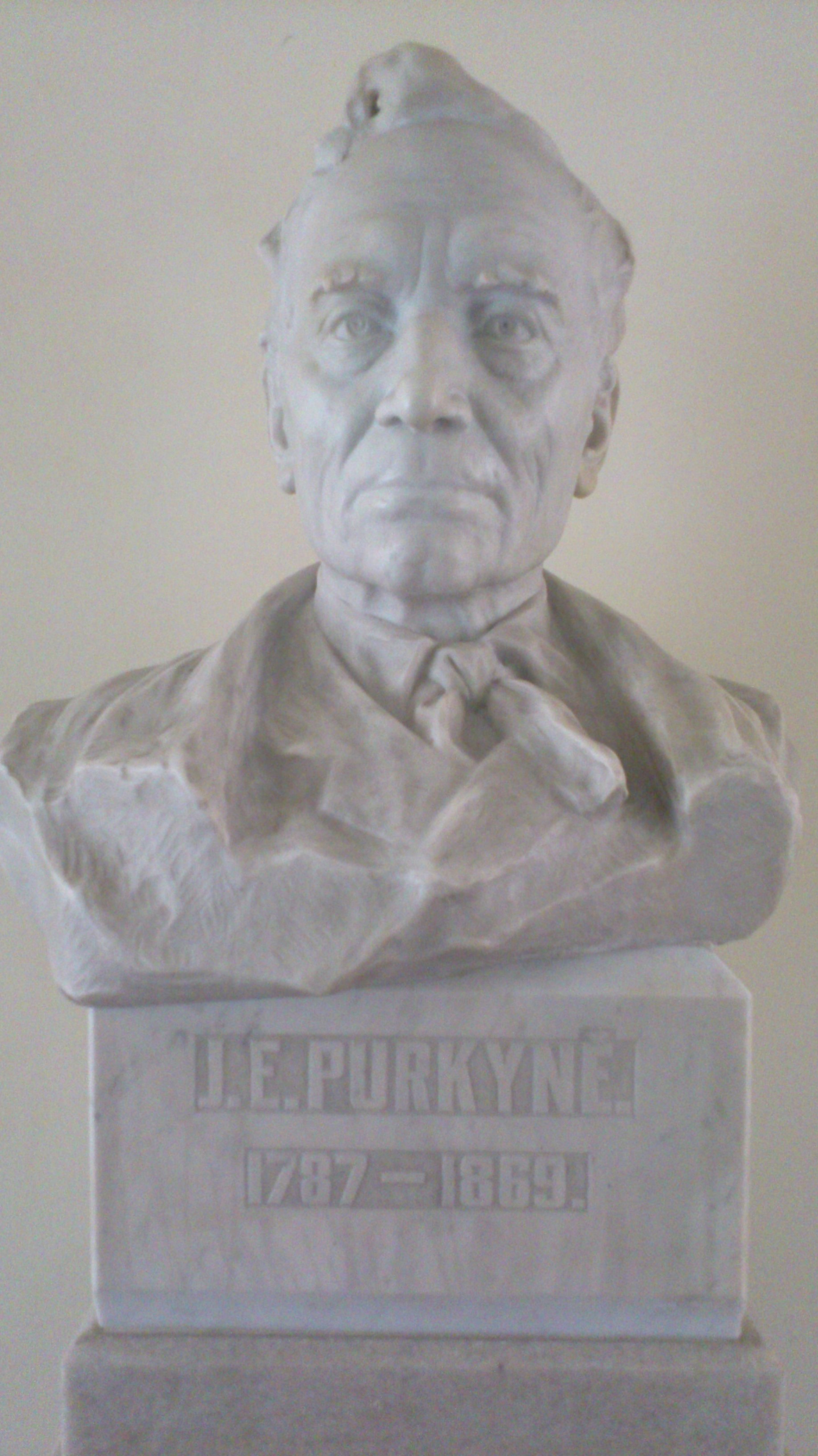 Jan Evangelista Purkyne's bust and memorial plaque, University of Wraclaw (by Magdalena  Mazurak) - 02.jpg